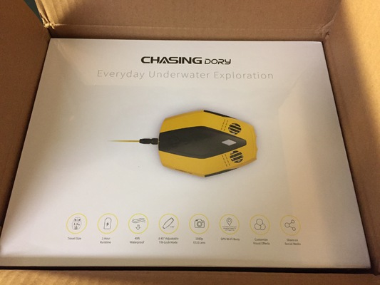 Cardboard box with the 'Chasing' logo on the side.